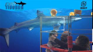 DIA 3 Expo Tiburon135