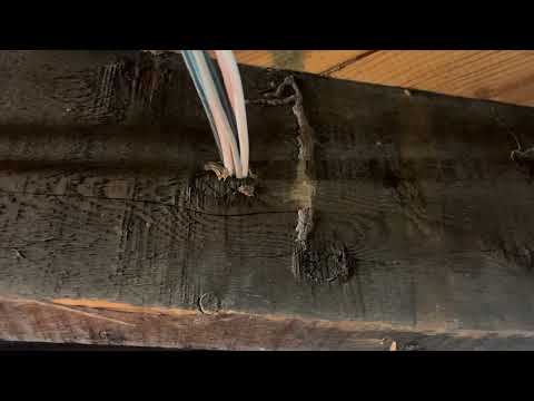 Inspection Uncovers Termite Damage in the Basement in Pennington, NJ