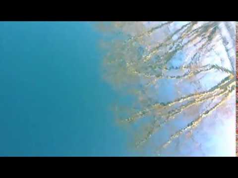 Rena Rasouli- Mind is Heterotopia