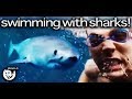 My Ten Craziest Shark Encounters (I Got Bitten!) | Steve-O