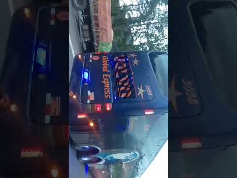 Global Express y Expresos Flamingo Pasando Peaje En Táchira