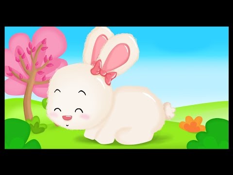 Hop Lapin - Comptine pour bébés - Titounis