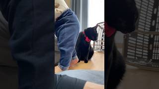 そこに座ると危ないぞー