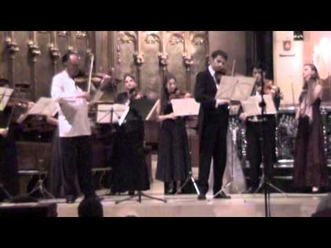 Bach Double Concerto (1st mov., Vivace) Alberto Lysy, Edgar Pujol, Camerata Lysy