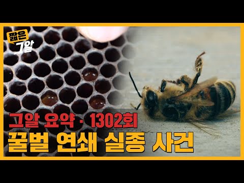 , title : '꿀벌이 기억상실증에 걸렸다? 사라진 꿀벌이 보내는 위험한 경고 | 짧은 그알'