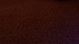 Patrick Wolf - Theseus (Demo)