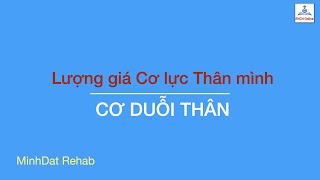 Lượng giá cơ lực thân mình. Phần 2: Duỗi thân