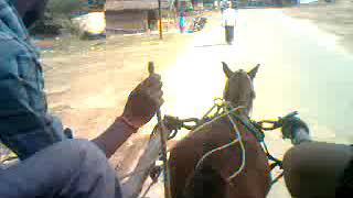 preview picture of video 'A  Tonga ride across a village street at Dalmou, U.P'