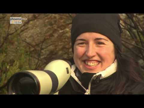 [HD-Doku] Sonne, Siesta und Saudade (2/10) Costa Verde - Portugals grüner Norden