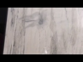 Bottle Flipping Challenge