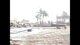 preview picture of video 'Removiendo cuidadosamente las palmas. Remodelacion de la Plaza - 2010 - El Salto Jalisco'