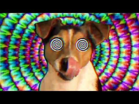 The Orb - "Daze" (Missing & Messed Up Mix) Official Video
