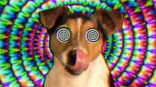 The Orb - &quot;Daze&quot; (Missing &amp; Messed Up Mix) Official Video