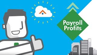 Payroll Relief - Payroll software for accountants
