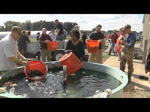 Lost Tribe Media video.