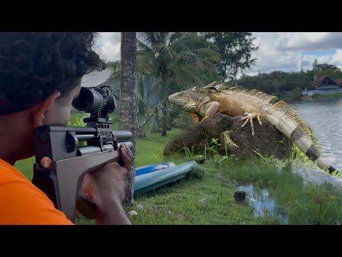 Pinty 9 pellet .22Cal Bullpup PCP Air Gun High Power For Small Game Iguana Hunting! 