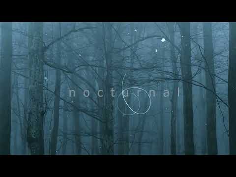 arbour x fantompower - mid-morning fog | dark ambient music mix