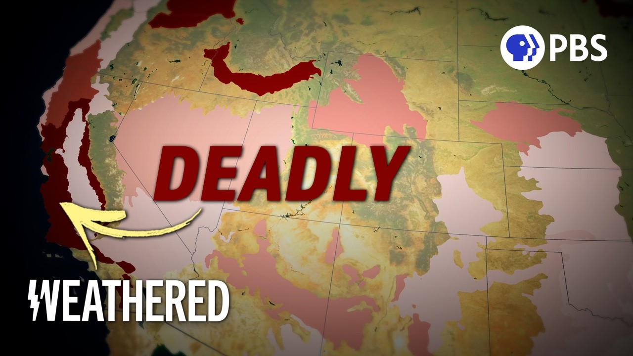 The Most Dangerous Wildfires All Have ONE THING in Common