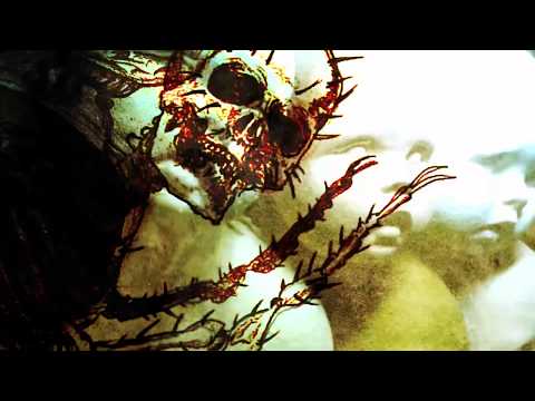 INSANIAM - A Wolf With Hunger (Official Music Video)