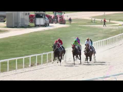 2022.04.17. 03. futam - BÁRÓ WENCKHEIM BÉLA EMLÉKVERSENY HENDIKEP (V.o.) (szintetikus pálya)