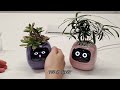 Ivy Smart Planter Make Plants Grow Smarter