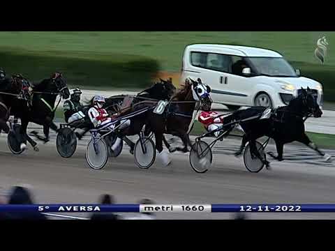 Aversa trotto 12 Novembre 2022 - 5° Corsa