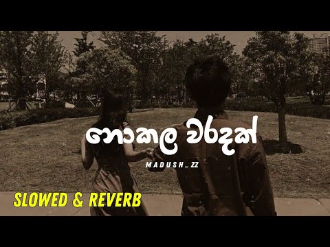 Nokala Waradak [ නොකල වරදක් ] | Slowed & Reverb - Niwantha Jayasinghe