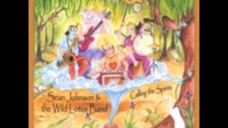 Sean Johnson and the Wild Lotus Band - Om Namah Shivaya