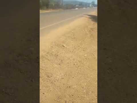 olha pessoal João está vindo lá de dentro de jericó