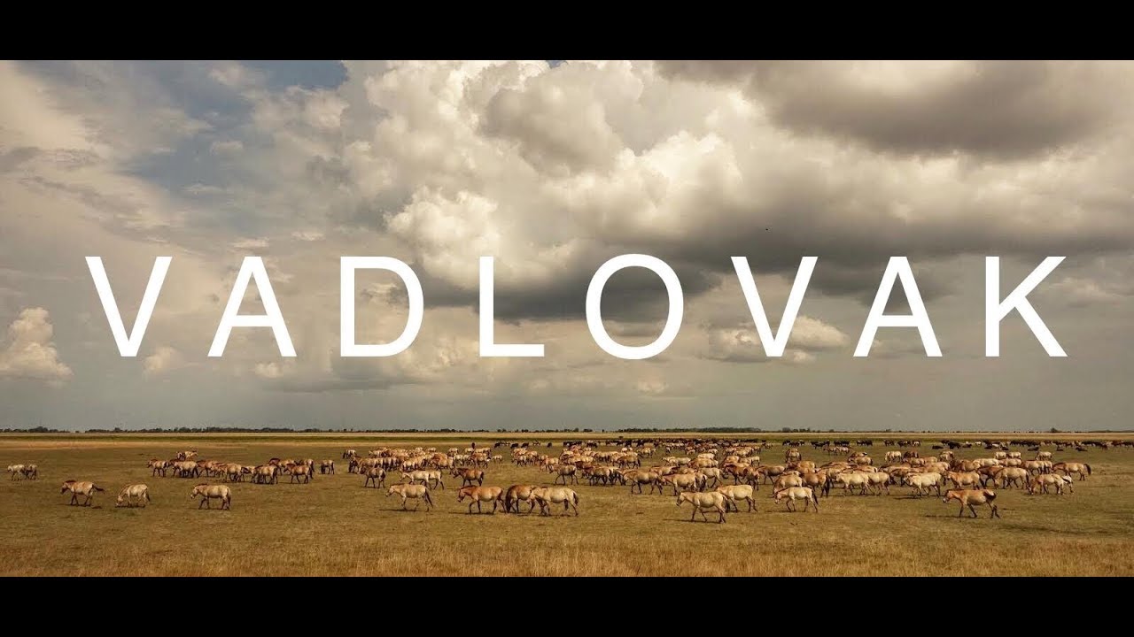 VADLOVAK - Hortobágyi mese Teaser