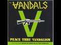 Vandals-Viking Suit