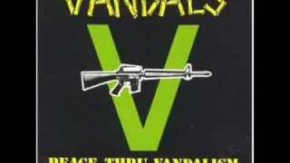 Vandals-Viking Suit