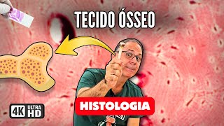 Tecido Ósseo: Estrutura, Funções, Células e Remodelação – Aula de Histologia Completa
