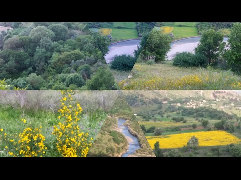 صور من الطبيعة الخلابة لولاية ميلة من دوار #القليعة بلدية تسدان حدادة