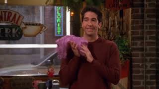 What's a pashmina?