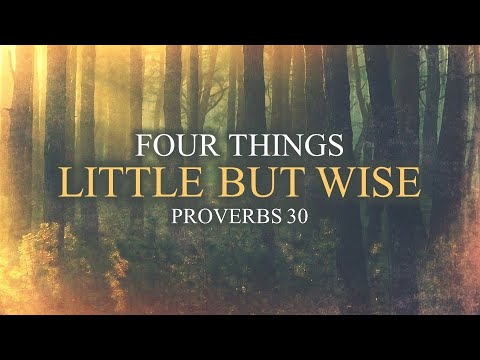 Four Things   Little But Wise