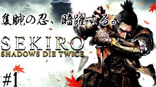 拙者、今日から忍ぶで候【隻狼】#1