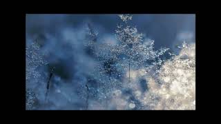 "Here We Come A Caroling" "I Saw Three Ships" "The Holly and the Ivy" Soft Piano Music - Steve Hall