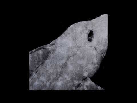 03. HNRK - Sonarpuls [Sonar Pulse]