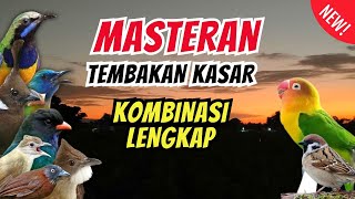 Download lagu Langsung Moncer Menyala !!! Masteran Kombinasi Tembakan Kasar Untuk Semua Jenis Burung mp3