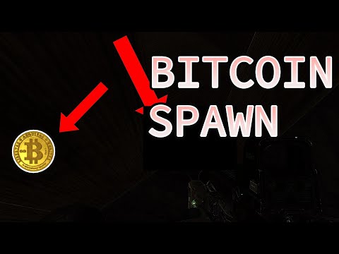 Customs Crack House BTC Spawn | #EFT #BSG