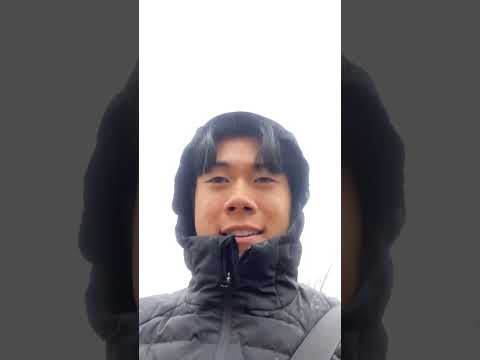 Day 29 spring bulk, push day