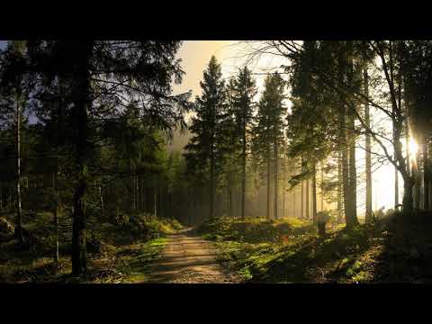 Sága krásy – A z hory, z hory | А з гори, з гори | Carpathian Folk Music