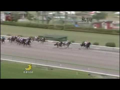 2009 東海ステークス TOKAI STAKES