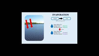 Evaporation process explained #shorts #civilengineering #hydrology