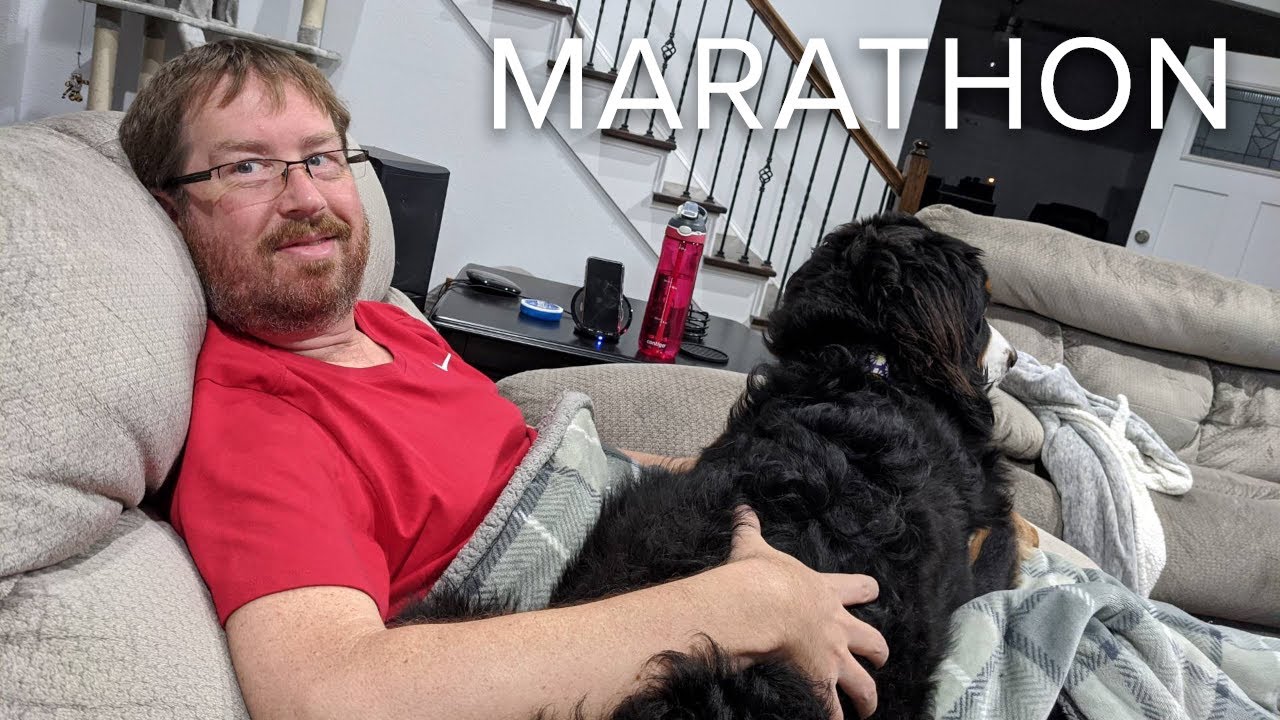 Murder-for-hire plots | 