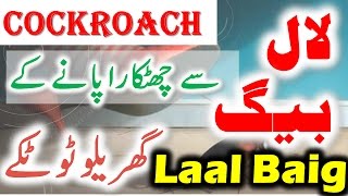 How To Get Rid Of Cockroaches Forever || Get Rid Of Roaches || Cockroach Killer | Urdu \ Hindi