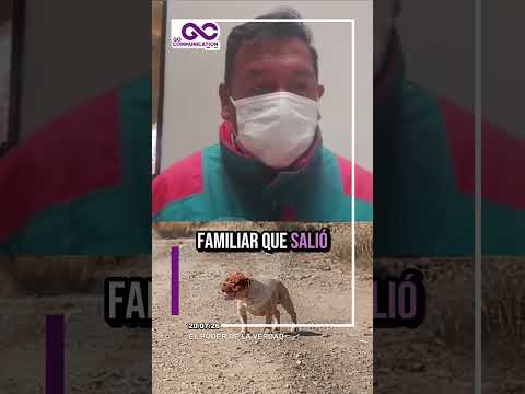 MUJER FUE ATACADA POR TRES BULDOG EN VIACHA - #viacha #lapaz #bolivia