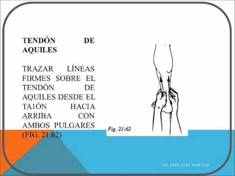 CALENTAMIENTO DE VOLEIBOL PARTE 6 MASAJE Y REHABILITACIÓN