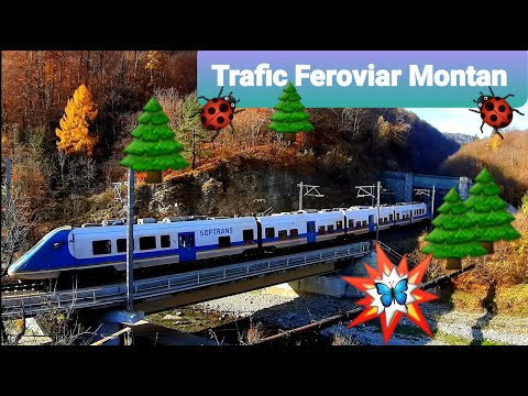 Trafic Feroviar Montan